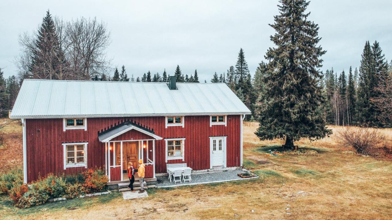 Taiga Forest Lodge 이에르비 외부 사진